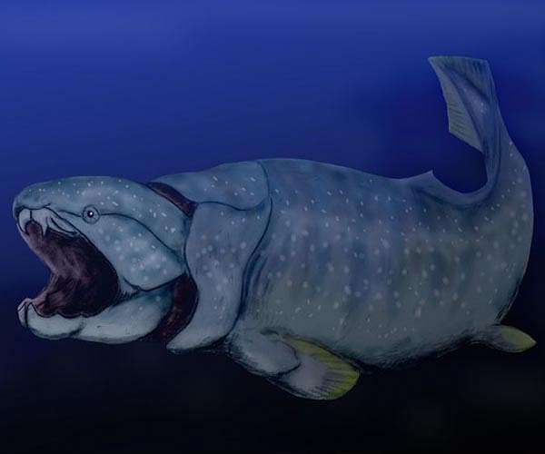 Fish fossils found in China offer clues on human evolution: researchers