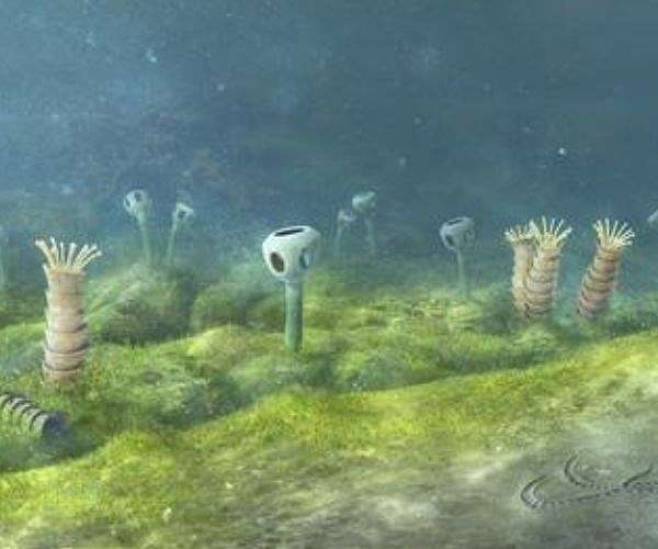 Scientists examine Earth's early life and environmental interactions over 500 million years
