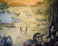 Early humans colonized South America like an invasive species