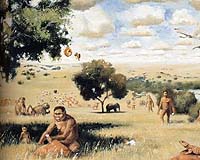 Human genetic separation suggested