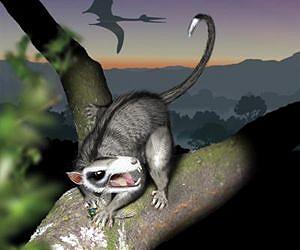UF researchers include humans in most comprehensive tree of life to date