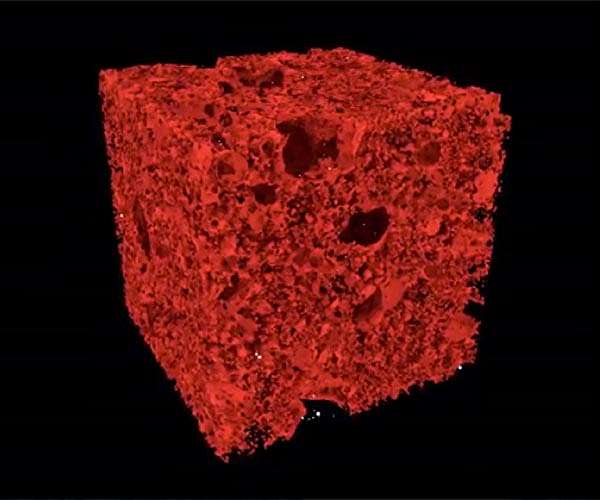 Webb observations point to a shorter cosmic dark age