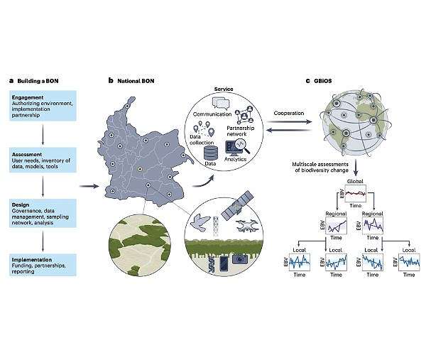 A global observatory to monitor Earth's biodiversity