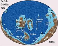 Study: Biodiversity of Ordovician radiation unrelated to asteroid breakup