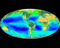 NASA Study Solves Ocean Plant Mystery