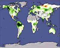 Global Garden Grows Greener