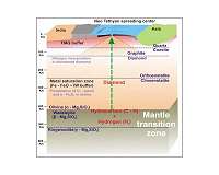UTA study sheds new light on evolution