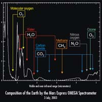The Good, The Bad, And The Ozone
