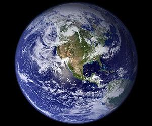 UN calls for immediate action to save life on Earth