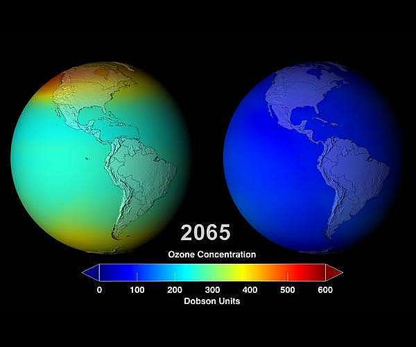 Protecting the ozone layer also protects Earth's ability to sequester carbon