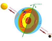 New Clues About The Earth's Movements