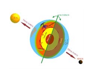 First ever direct measurement of the Earth's rotation