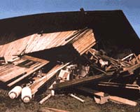 Fake Quake Tests US Readiness