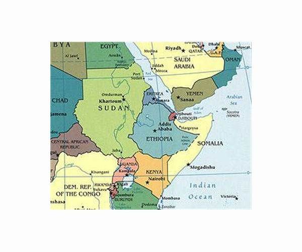 22 million face starvation in Horn of Africa: WFP