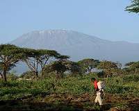 Rapid land changes forecast for East African savannahs