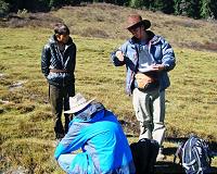 In eastern Tibetan forest, signs of tree growth amid climate change