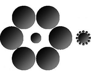 Seeing The World All Depends On Differen Visual Minds
