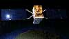 Orbital Wins ECCO Deal