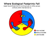 Fueling And Feeding Bigfoot