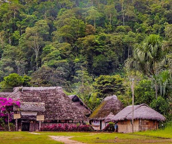 Ecuador jungle community hopes vote will end oil drilling