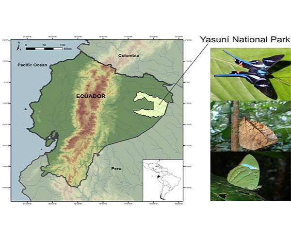 Ecuador votes to halt oil drilling in Amazon's Yasuni National Park