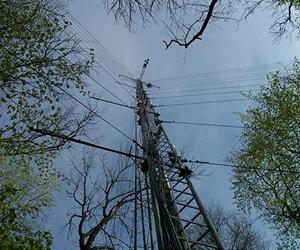 Cycling Carbon Through Terrestrial Ecosystems