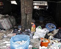 In Egypt, swine flu fears buried under rubbish threat