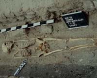 Ancient Tomb Sheds New Light On Egyptian Colonialism