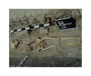 Outside View: Secrets in Ramallah tomb?