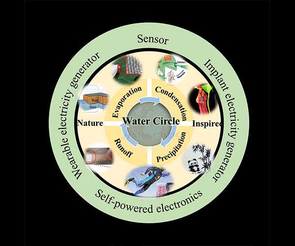 Electricity harvesting from evaporation, raindrops and moisture inspired by nature