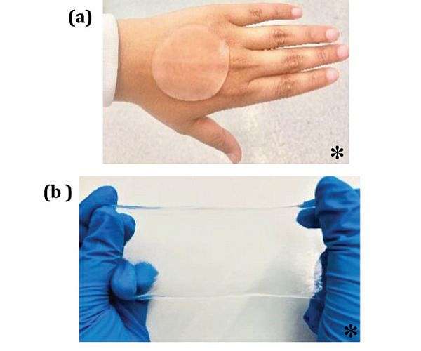 Plasma Technology Marks a New Era in Chronic Wound Care, Offering Hope to Millions