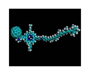Molecular Robots On The Rise