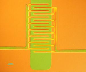 Full control of plastic transistors