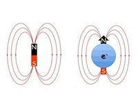 Heat makes electrons' spin in magnetic superconductors