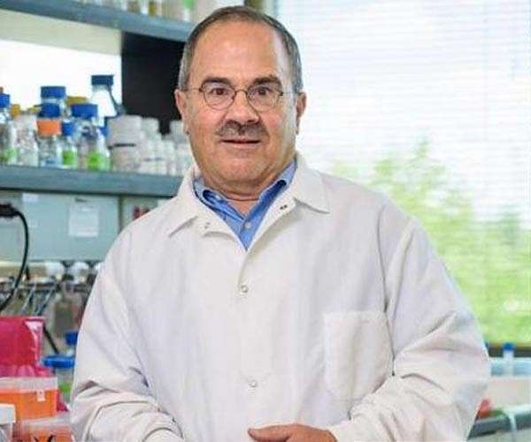 Transforming CO2 and sugars into biofuel
