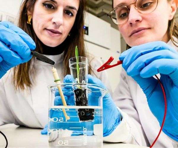Electronic soil enhances crop growth
