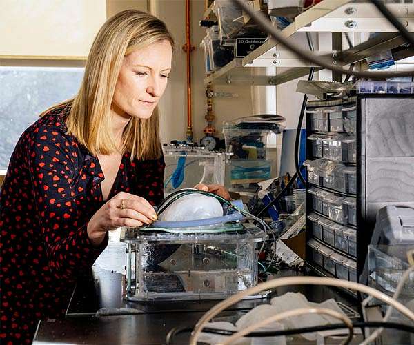 MIT engineers design a soft, implantable ventilator