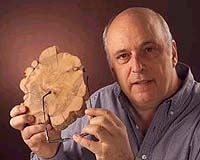 Tree-Ring Study Reveals Long History Of El Nino