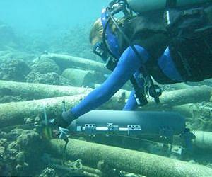 Broadcast study of ocean acidification to date helps scientists evaluate effects on marine life
