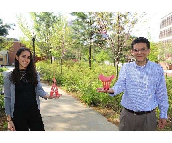 Marine animals inspire new approaches to structural topology optimization