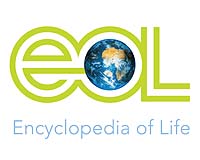 Online Encyclopedia of Life reaches 150,000 species