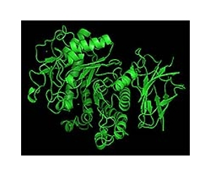 Biotech firm launches new fuel enzyme