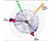 UCR-Led Research Team Detects 'Top Quark,' A Basic Constituent Of Matter