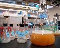 German chemical industry sketches costly carbon-neutral path