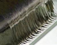 Hydrogel superglue is 90 percent water