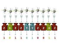Fingerprints of quantum entanglement