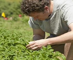 'Balanced' Ecosystems Seen In Organic Ag Better At Controlling Pests