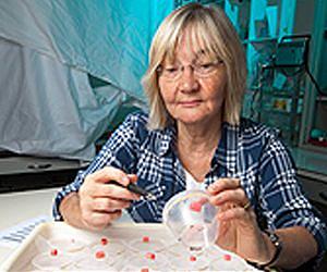 Baiting Mosquitoes with Knowledge and Proven Insecticides