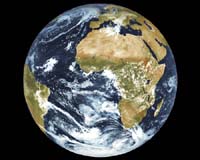 'Affordable' to solve world's main environmental woes: OECD