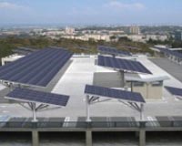 UCLA San Diego Forests Parking Areas With Solar Trees From Envision Solar